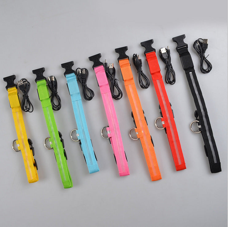 Halloween LED Dog Collar – Adjustable Nylon Safety Light-Up Collar for Night Walks (Battery Included)