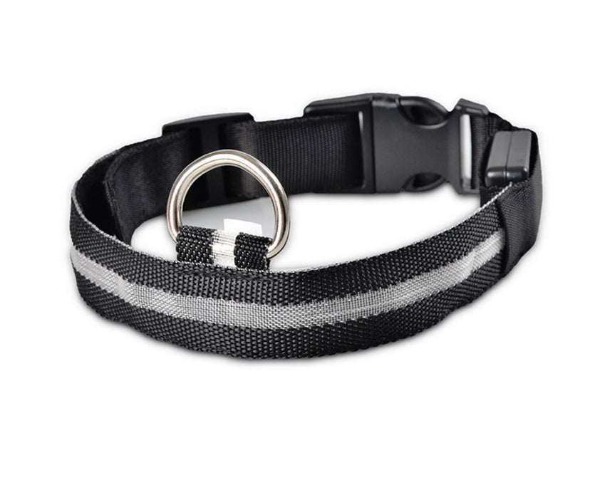 Halloween LED Dog Collar – Adjustable Nylon Safety Light-Up Collar for Night Walks (Battery Included)