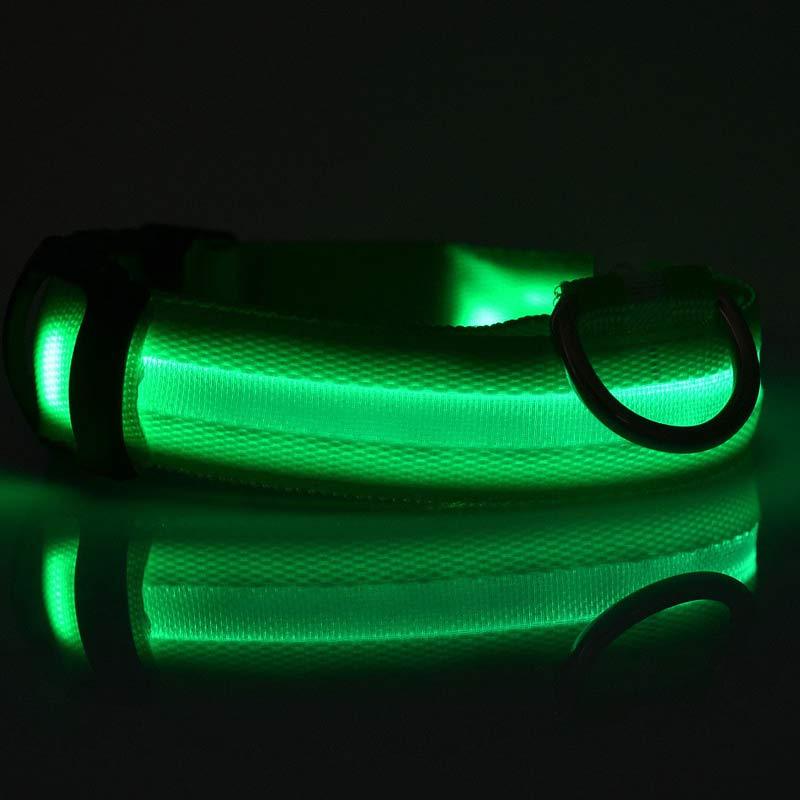 Halloween LED Dog Collar – Adjustable Nylon Safety Light-Up Collar for Night Walks (Battery Included)