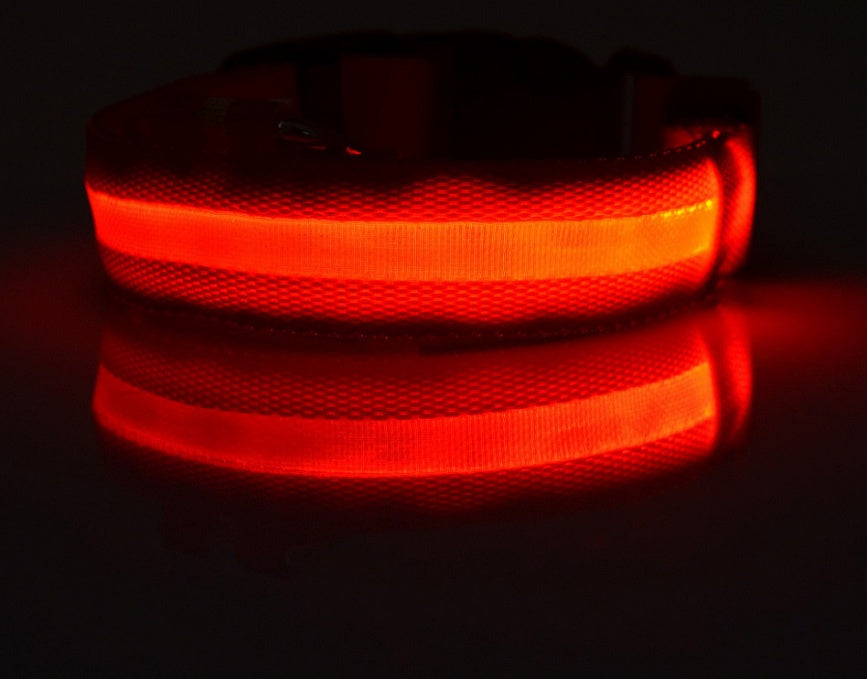Halloween LED Dog Collar – Adjustable Nylon Safety Light-Up Collar for Night Walks (Battery Included)