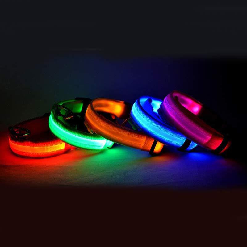 Halloween LED Dog Collar – Adjustable Nylon Safety Light-Up Collar for Night Walks (Battery Included)