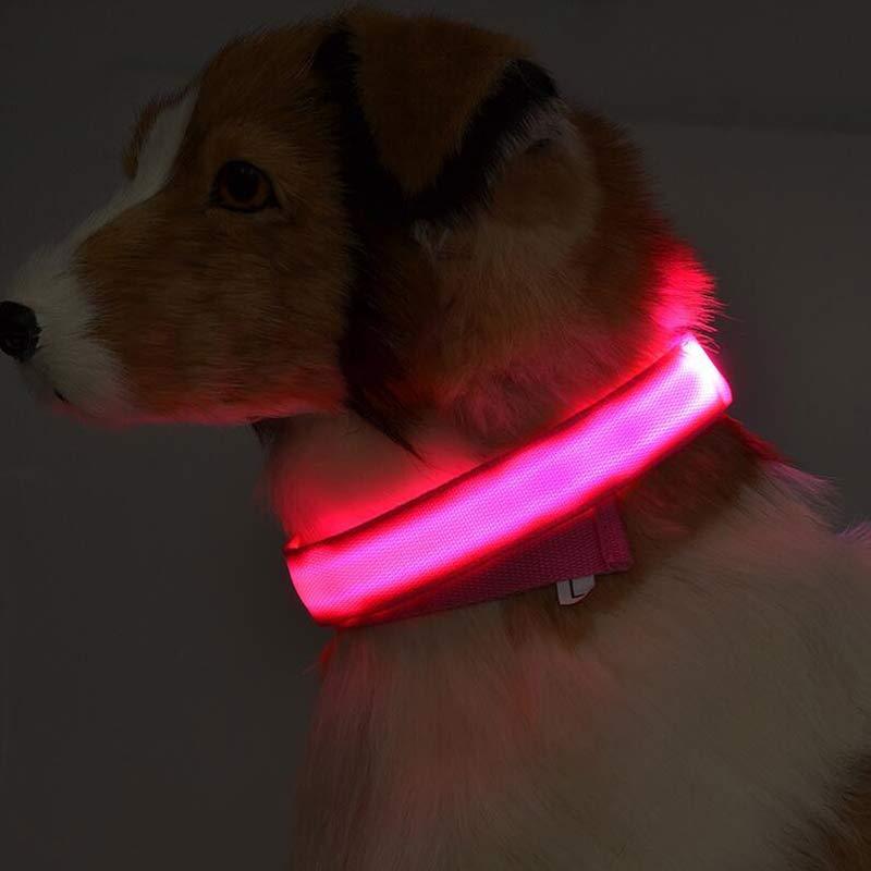 Halloween LED Dog Collar – Adjustable Nylon Safety Light-Up Collar for Night Walks (Battery Included)