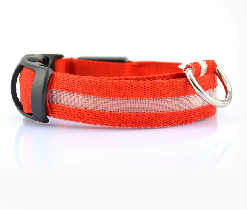 Halloween LED Dog Collar – Adjustable Nylon Safety Light-Up Collar for Night Walks (Battery Included)