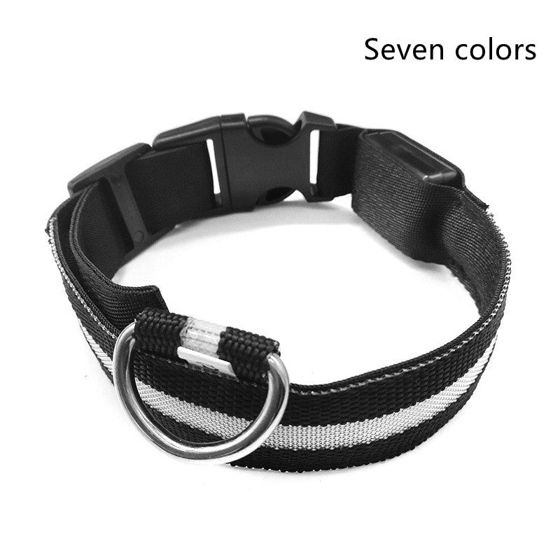 Halloween LED Dog Collar – Adjustable Nylon Safety Light-Up Collar for Night Walks (Battery Included)