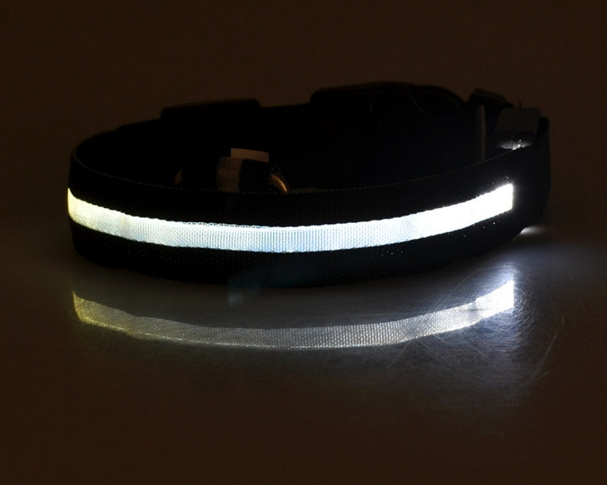 Halloween LED Dog Collar – Adjustable Nylon Safety Light-Up Collar for Night Walks (Battery Included)