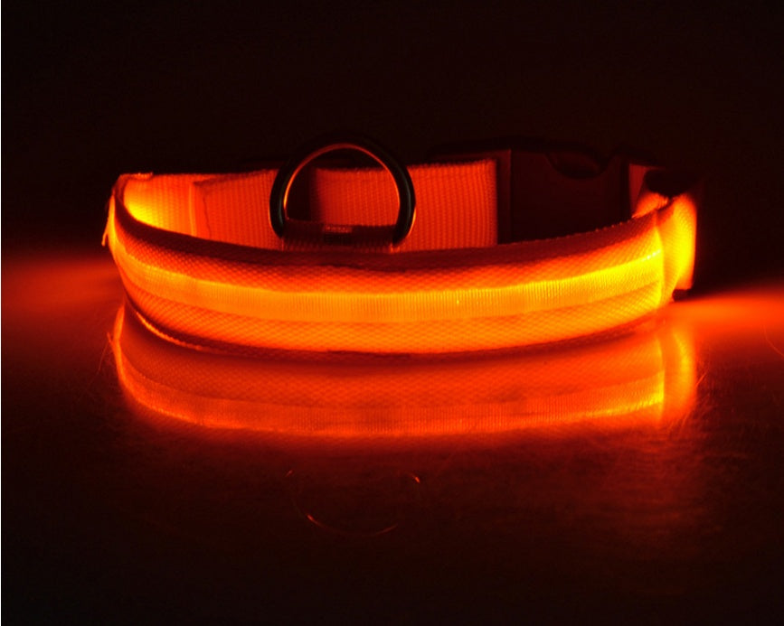 Halloween LED Dog Collar – Adjustable Nylon Safety Light-Up Collar for Night Walks (Battery Included)