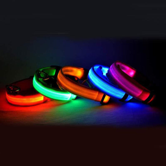 Halloween LED Dog Collar – Adjustable Nylon Safety Light-Up Collar for Night Walks (Battery Included)