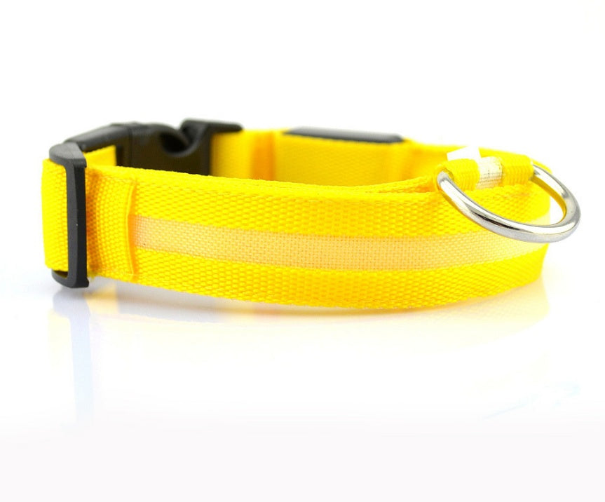 Halloween LED Dog Collar – Adjustable Nylon Safety Light-Up Collar for Night Walks (Battery Included)