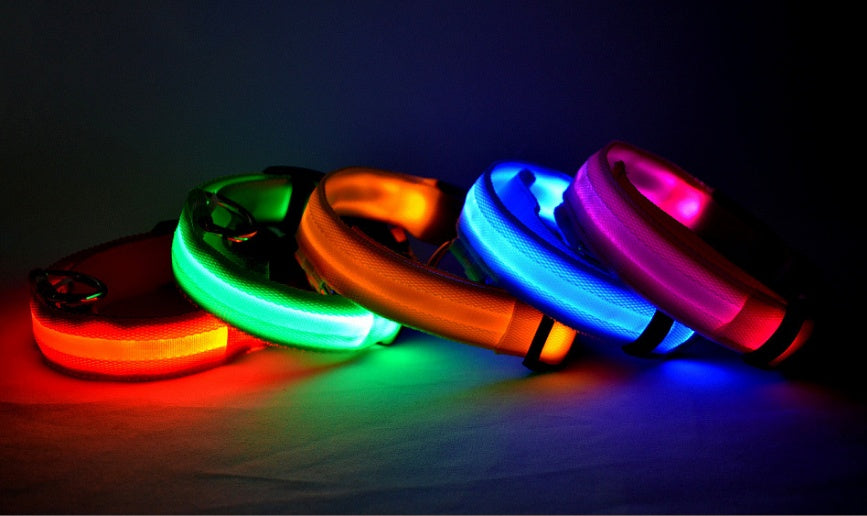 Halloween LED Dog Collar – Adjustable Nylon Safety Light-Up Collar for Night Walks (Battery Included)