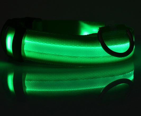 Halloween LED Dog Collar – Adjustable Nylon Safety Light-Up Collar for Night Walks (Battery Included)