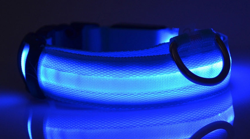 Halloween LED Dog Collar – Adjustable Nylon Safety Light-Up Collar for Night Walks (Battery Included)